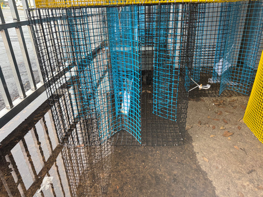 Ocean Built XL Pinfish Trap