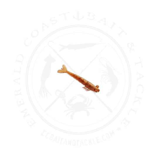 JYG Pro Shrimp 2.5in 6PK