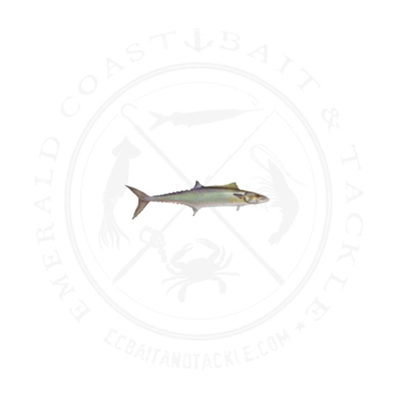 Load image into Gallery viewer, Mudhole Fish Decal
