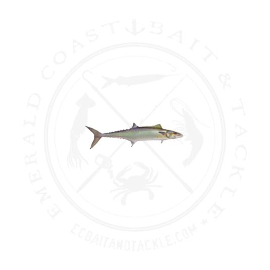 Mudhole Fish Decal