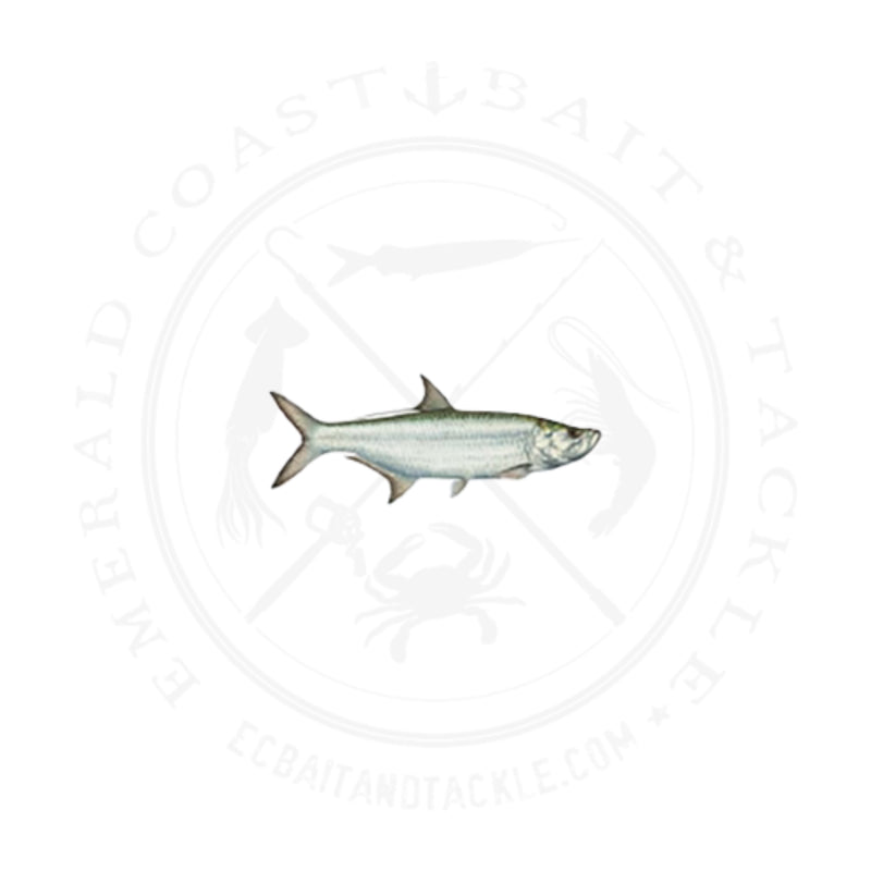 Load image into Gallery viewer, Mudhole Fish Decal

