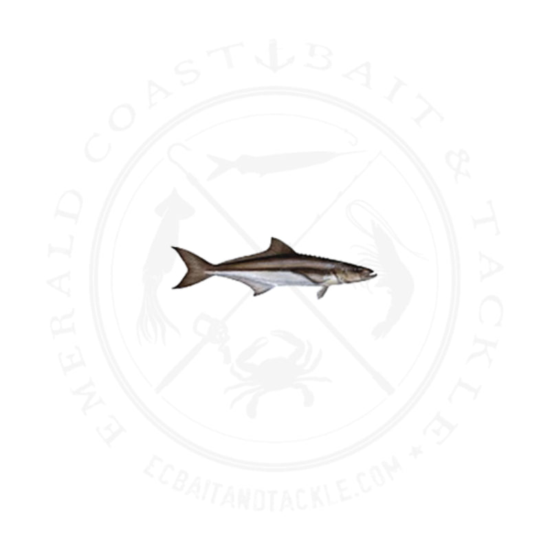 Load image into Gallery viewer, Mudhole Fish Decal
