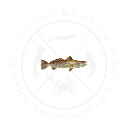 Mudhole Fish Decal