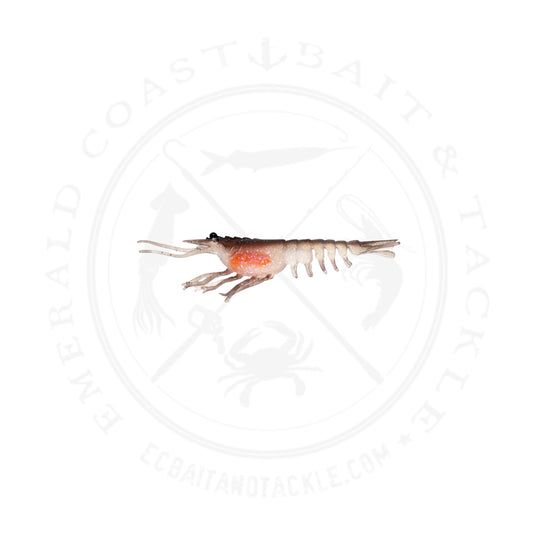 Nomad Switcher Shrimp