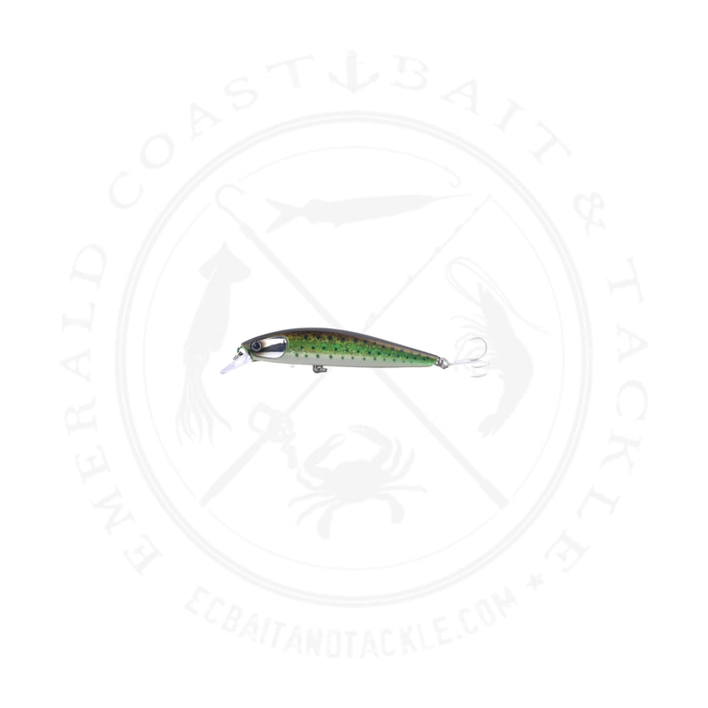 Load image into Gallery viewer, Oceans Legacy Tidalus Minnow

