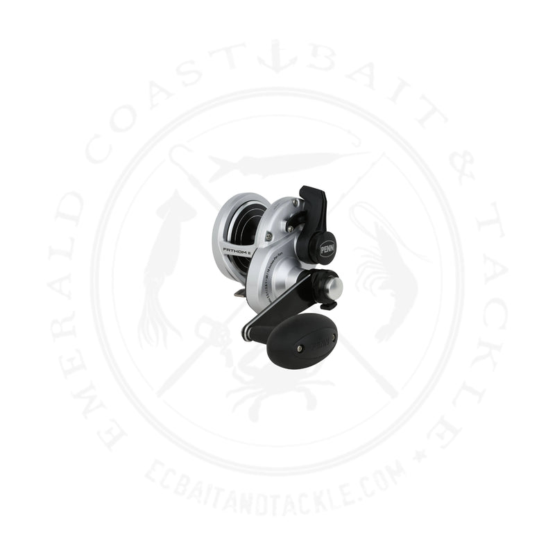 Load image into Gallery viewer, Penn Fathom II Lever Drag 2 Speed
