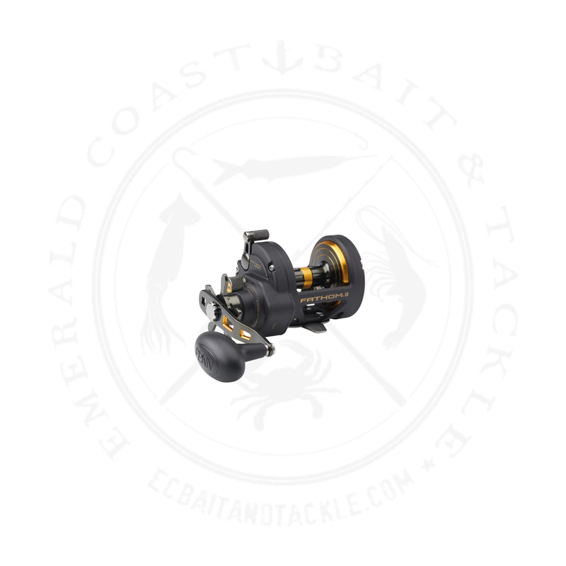 Load image into Gallery viewer, Penn Fathom II Star Drag Reel
