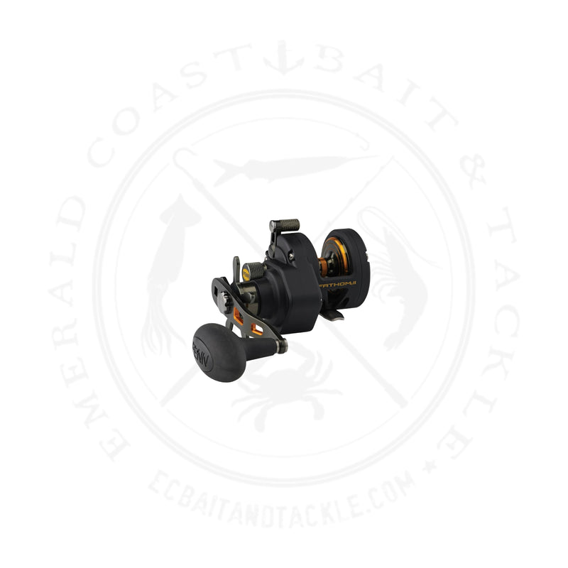 Load image into Gallery viewer, Penn Fathom II Star Drag Reel
