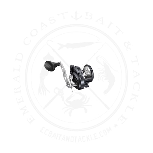 Shimao Torium Jigging Special